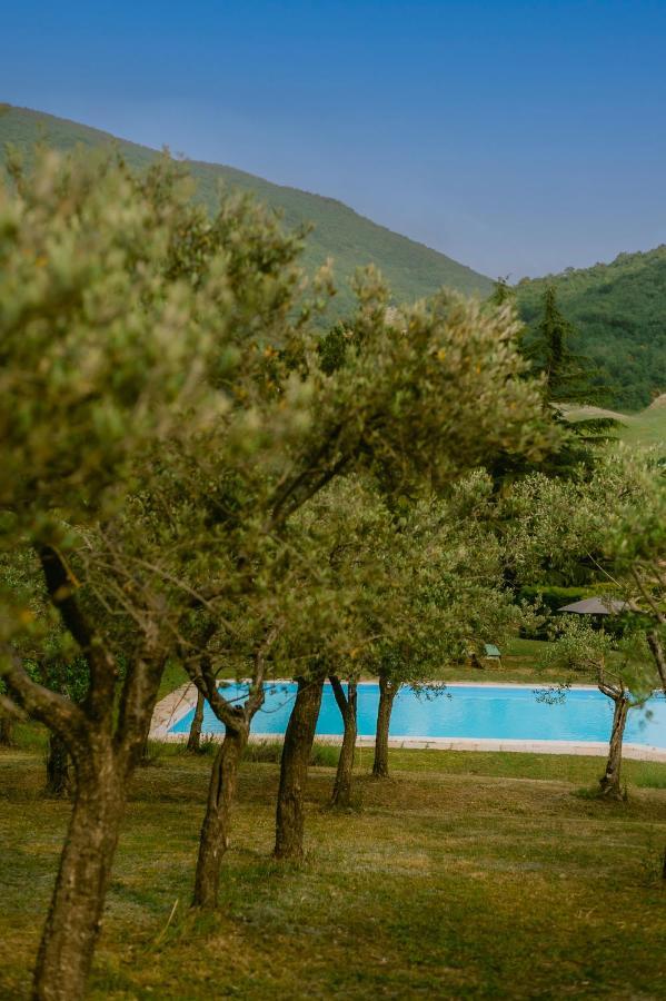 Tenuta Delle Rose -